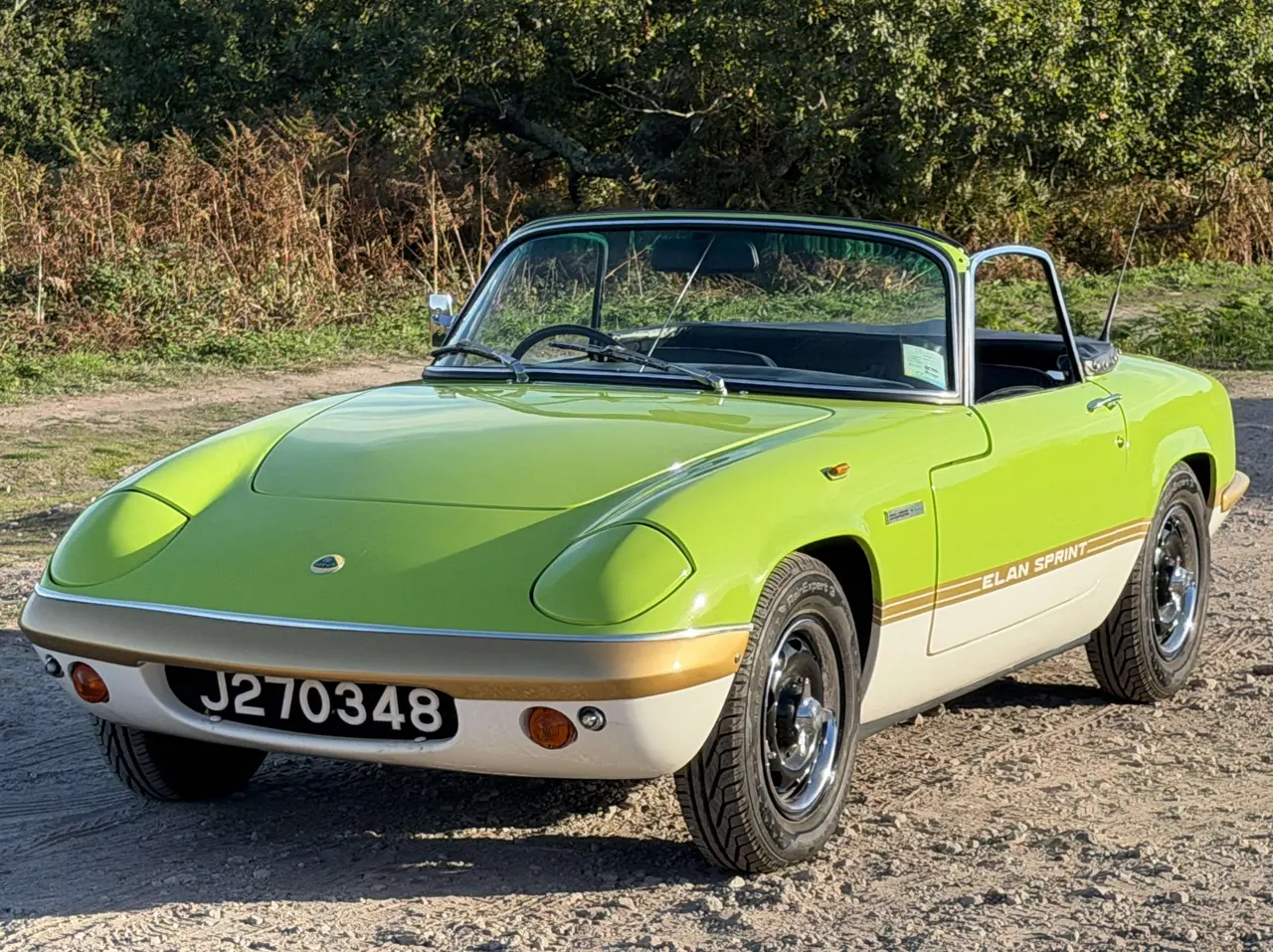 Lotus Elan