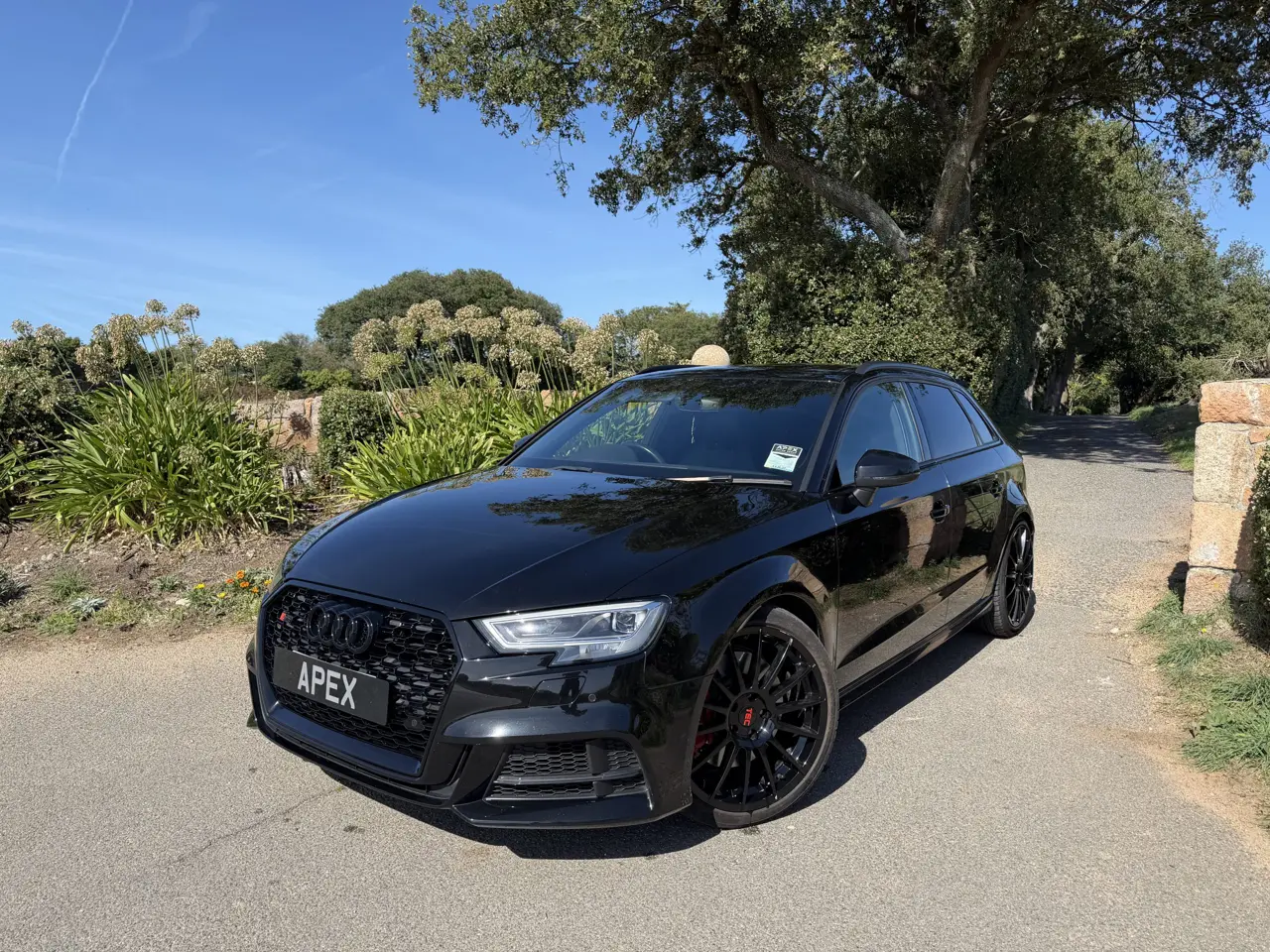 Audi S3